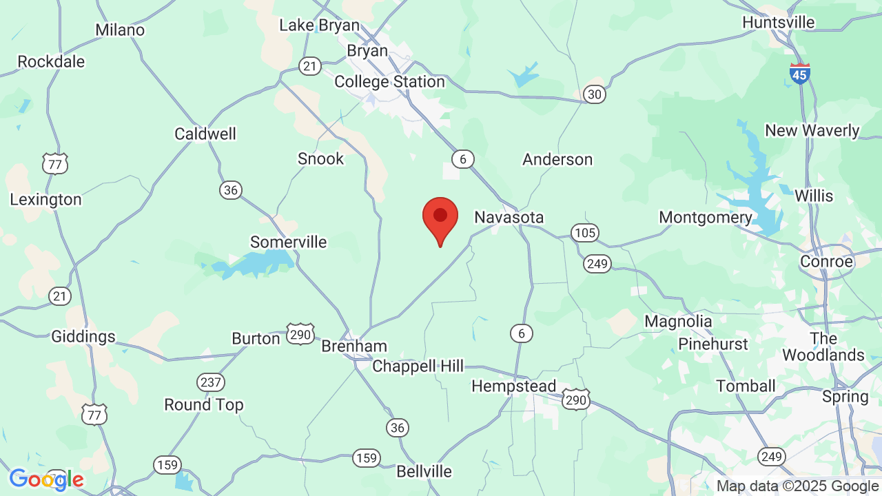 Live Oak Resort Campsite Photos