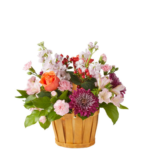 FTD Strawberry Patch Basket ES22FA • Canada Flowers