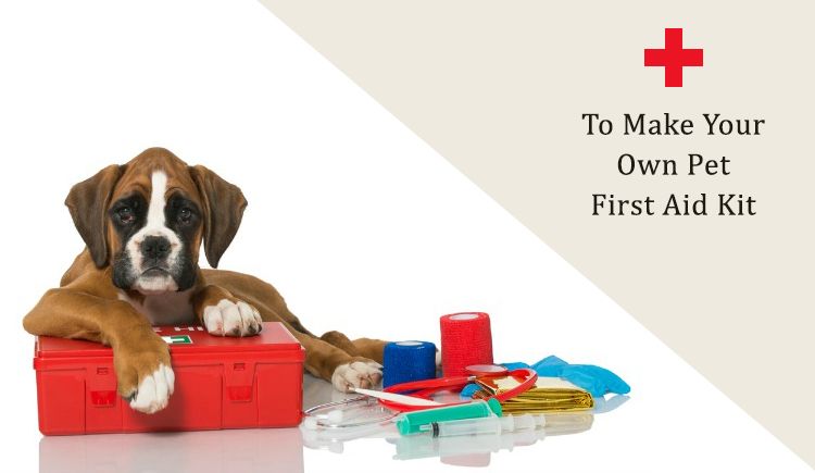 Easy Guide To Make Your Own Pet First Aid Kit CanadaPetCare Blog
