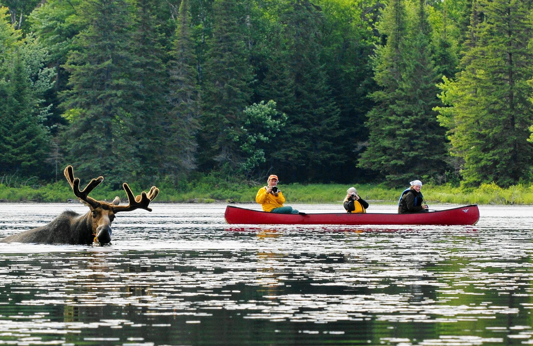 Algonquin Park Canoe Trip De Canada Specialist