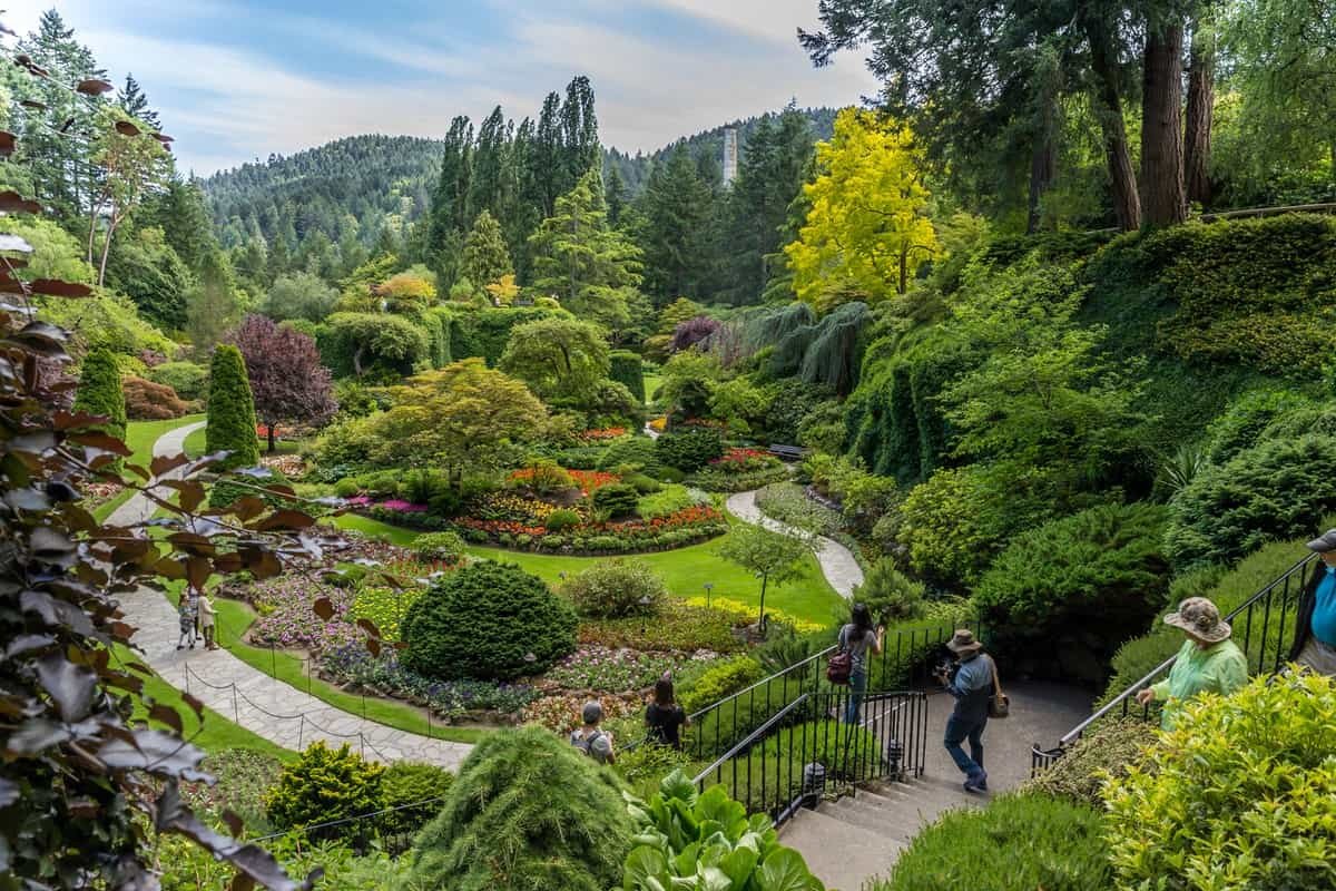 forum 2 naturalisation 2023 Move To Canada From The Us | Immigration, Work, & Study Visa Options | Canadavisa.com