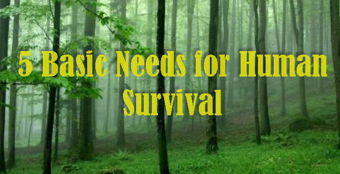 Five Basic Survival Needs Canadian Off The Grid