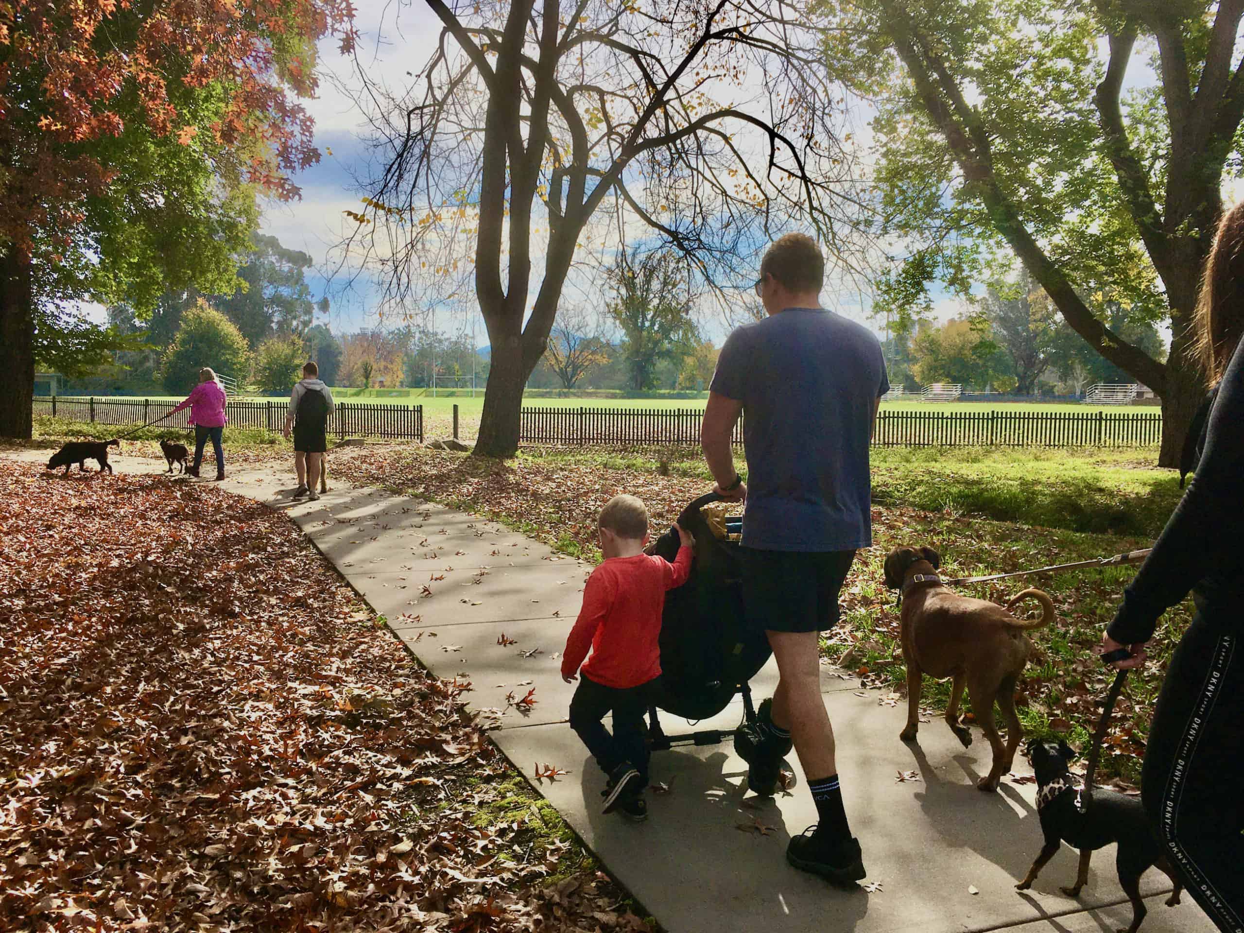 Canberra pram friendly dog walks Canberra Dog Walks