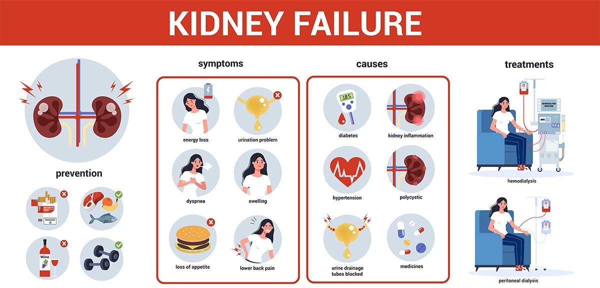 Kidney Cancer Symptoms, Diagnosis, and Treatment