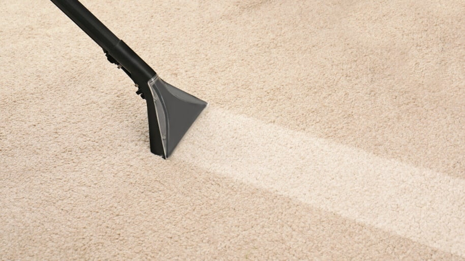 Carpet Cleaning Services How often should you get your carpets cleaned