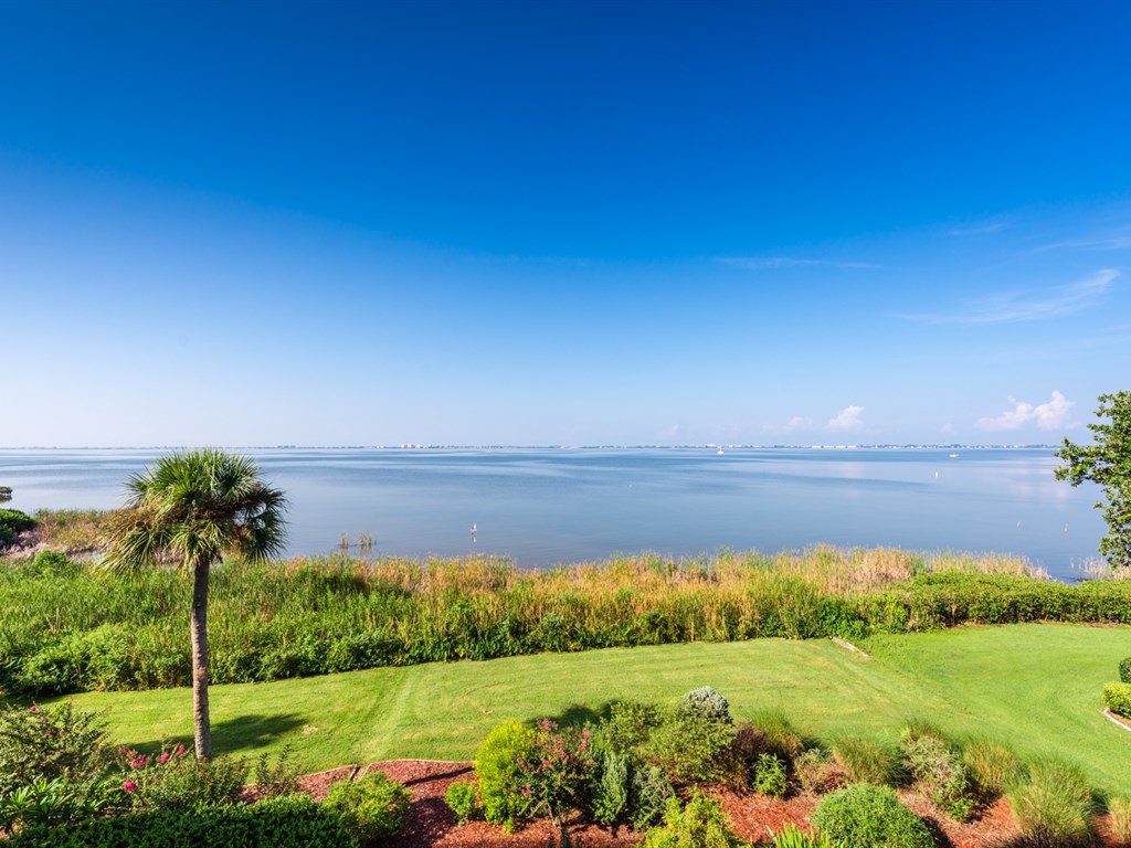 Wild Oak Bay Candy Swick's Sarasota Real Estate