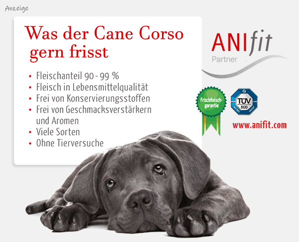 Cane Corso Barfen Frischfleisch Vitamine Rohkost