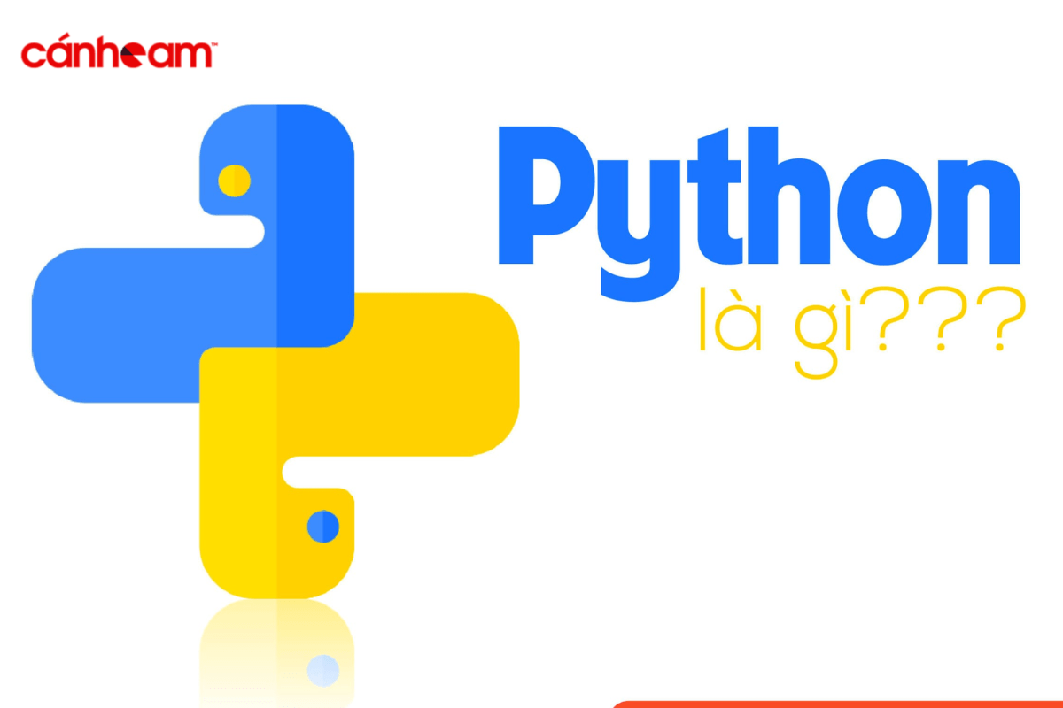 Python là gì? Tổng quan về ngôn ngữ lập trình Python
