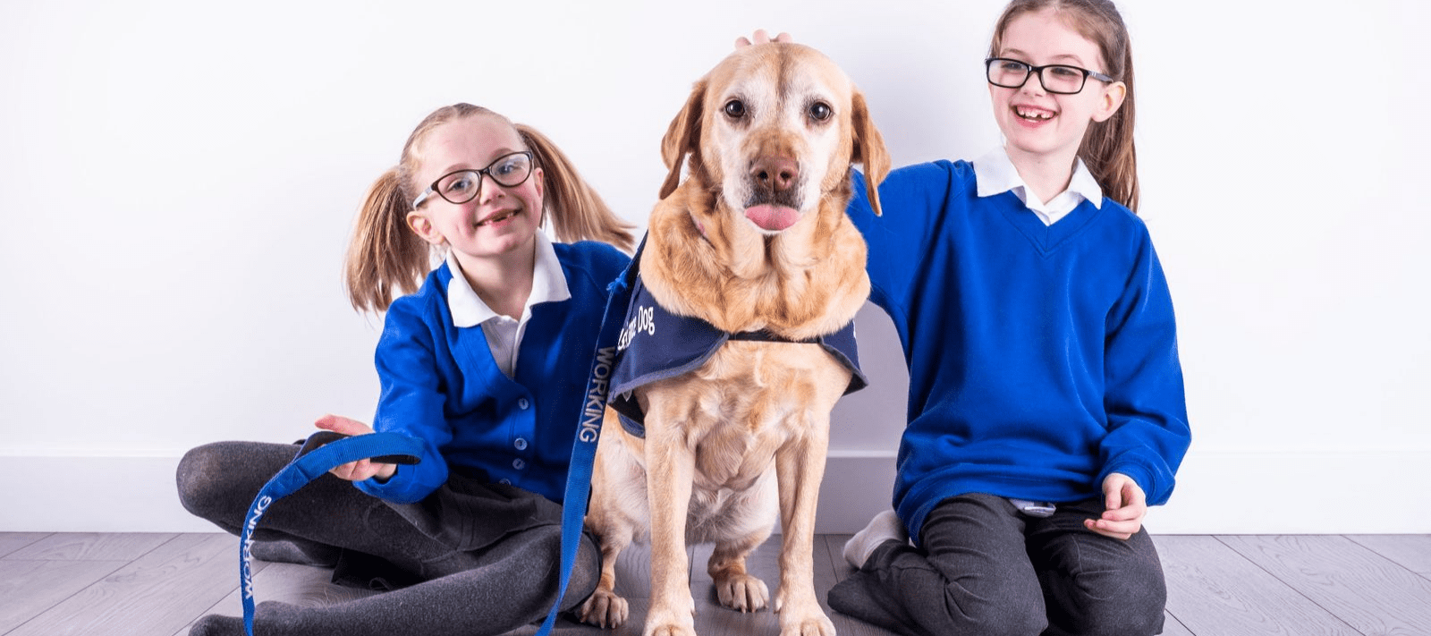 Should Every School Have A "Dog As A Stress Buster"? Canine Assisted