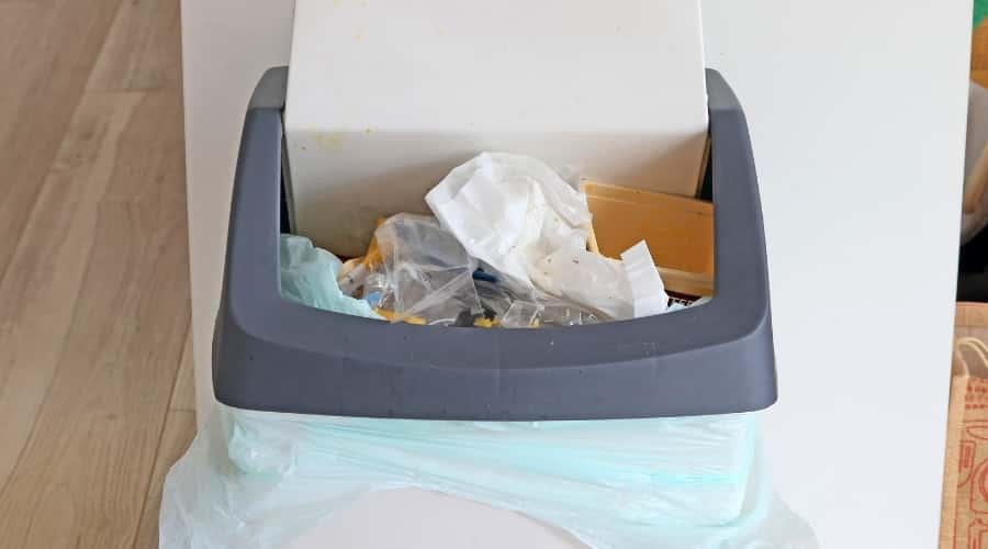 My Dog Just Ate Styrofoam! What Should I Do Now? Canine Journal