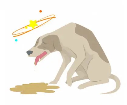 Dog Falling Over And Losing Balance: My Dog Is Acting Drunk And Wobbly, Unsteady, And Stumbling