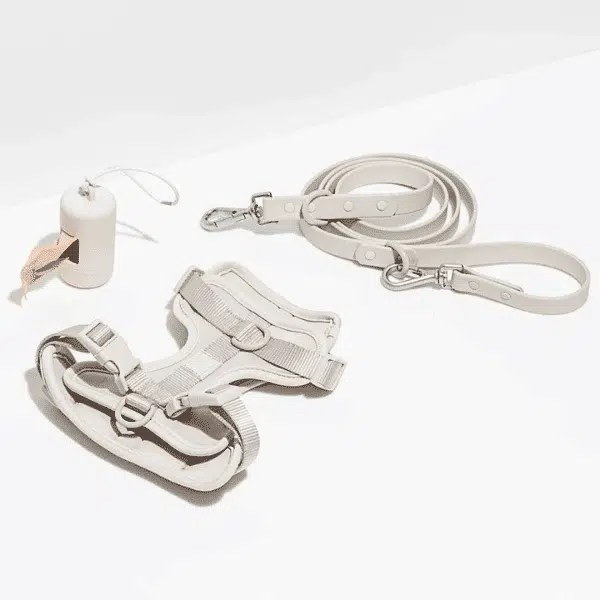 Wild One Reviews Do Their Trendy Pet Products Live Up To The Hype?