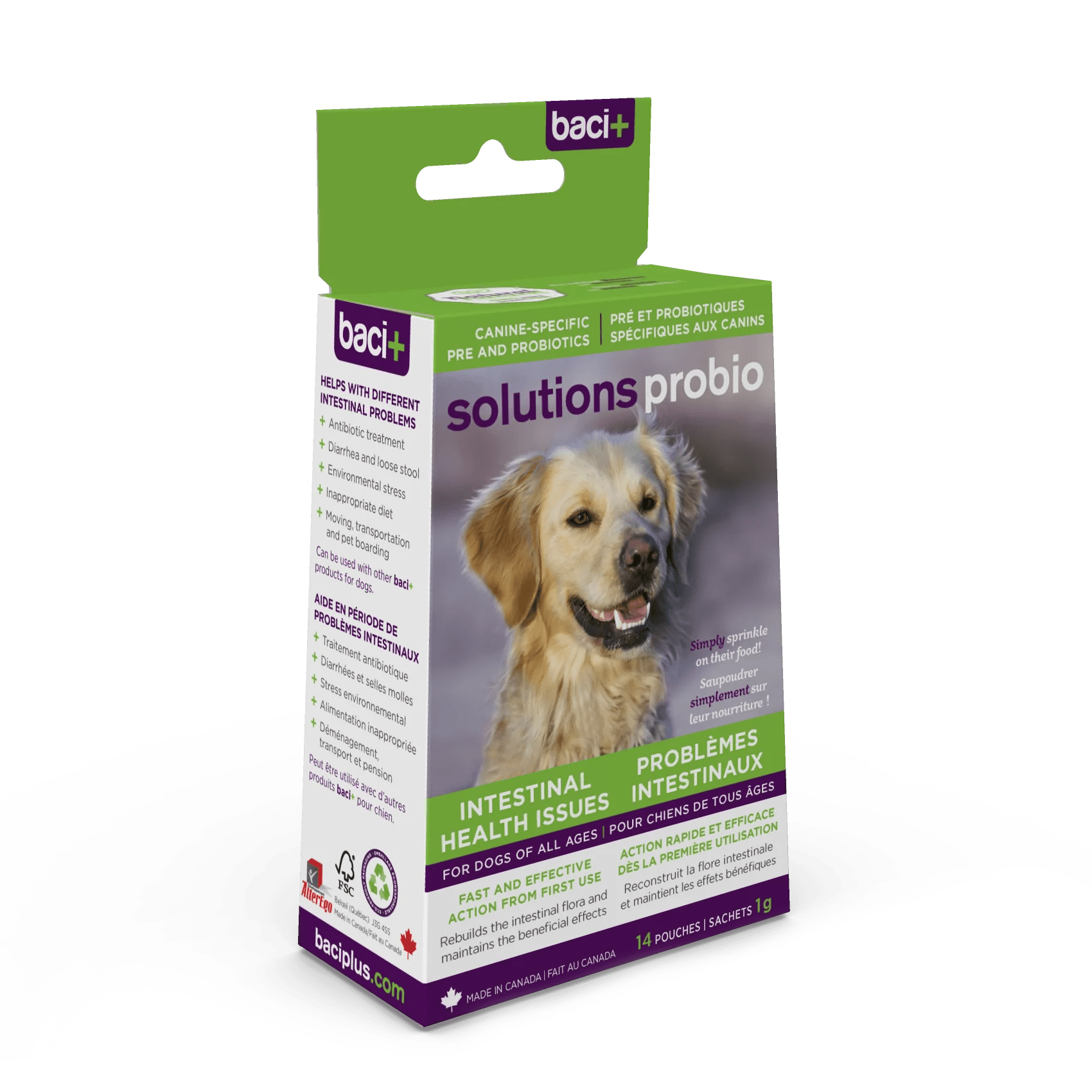 Do Dogs Need Probiotics After Antibiotics