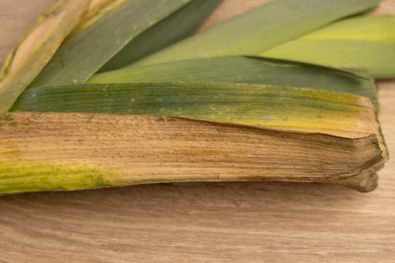 How To Store Leeks Can It Go Bad?