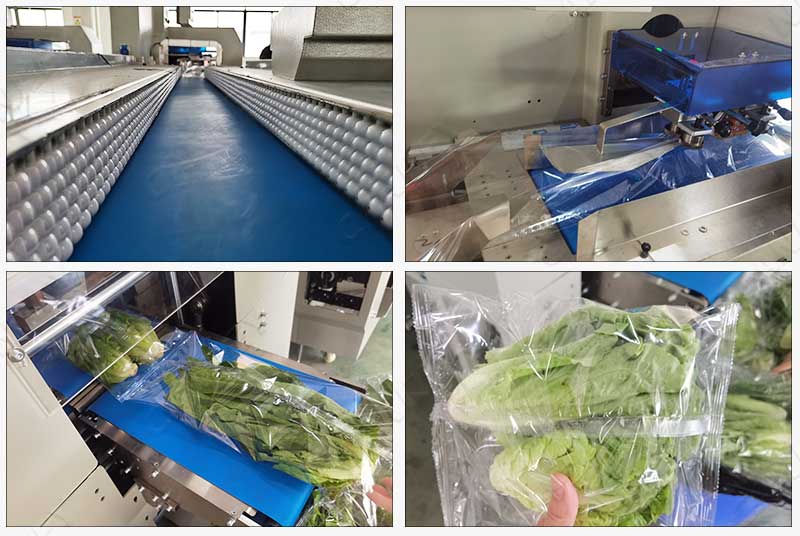 Cankey Automatic Vegetable Packing Machine ECO Friendly