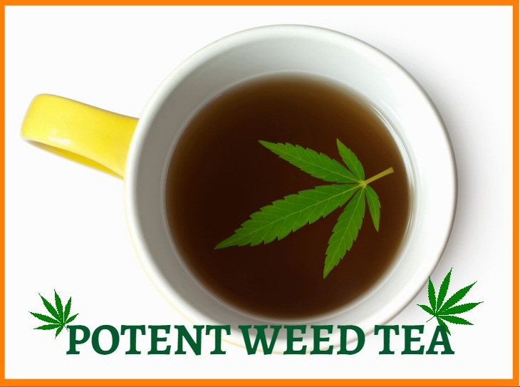 Marijuana Cooking Recipes Latest Weed Recipes Canna Try That