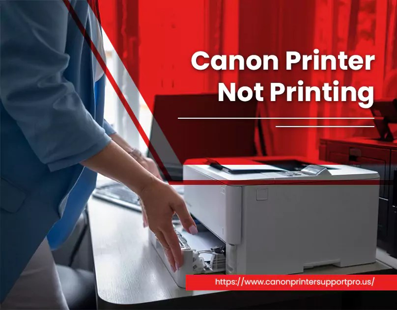 Fix No Print Output Issue On Canon printer Not Printing.