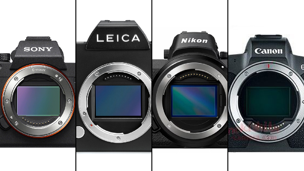 Introduction to Lenses (DSLR and Mirrorless) Nerd Tips
