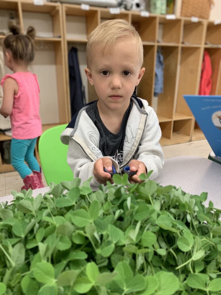 2019 Spring Farm Sprouts Celebration of Learning Tuesday AM