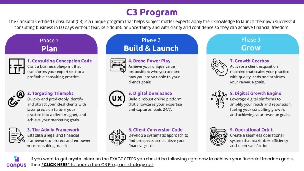 Online Course Build Your Successful Consulting Business with C3