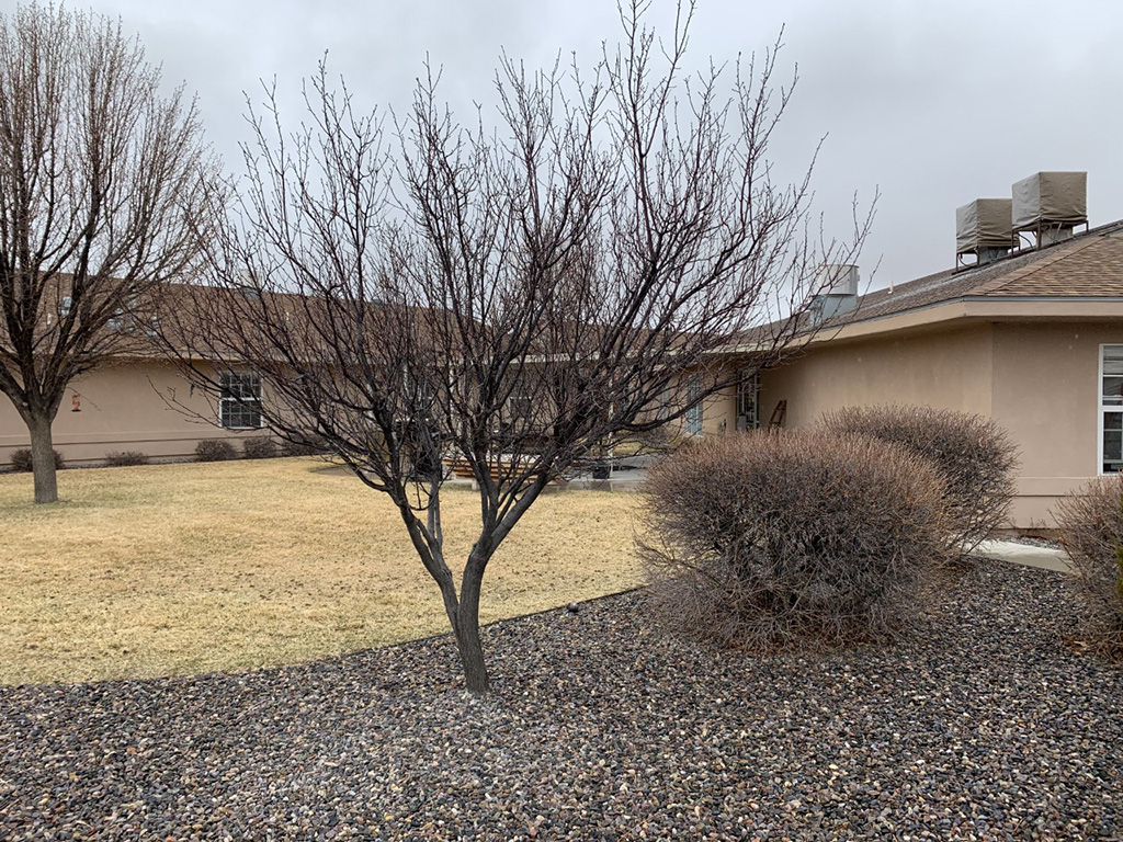 Cedar Ridge Inn Farmington, NM Skilled Nursing Facility