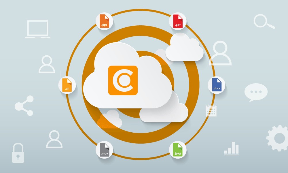 Cloud file storage Dynamic organization tools Canto