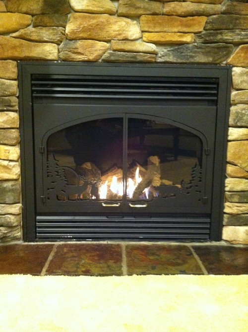 Gas Burning Fireplace Inserts Stove Store Canton, OH