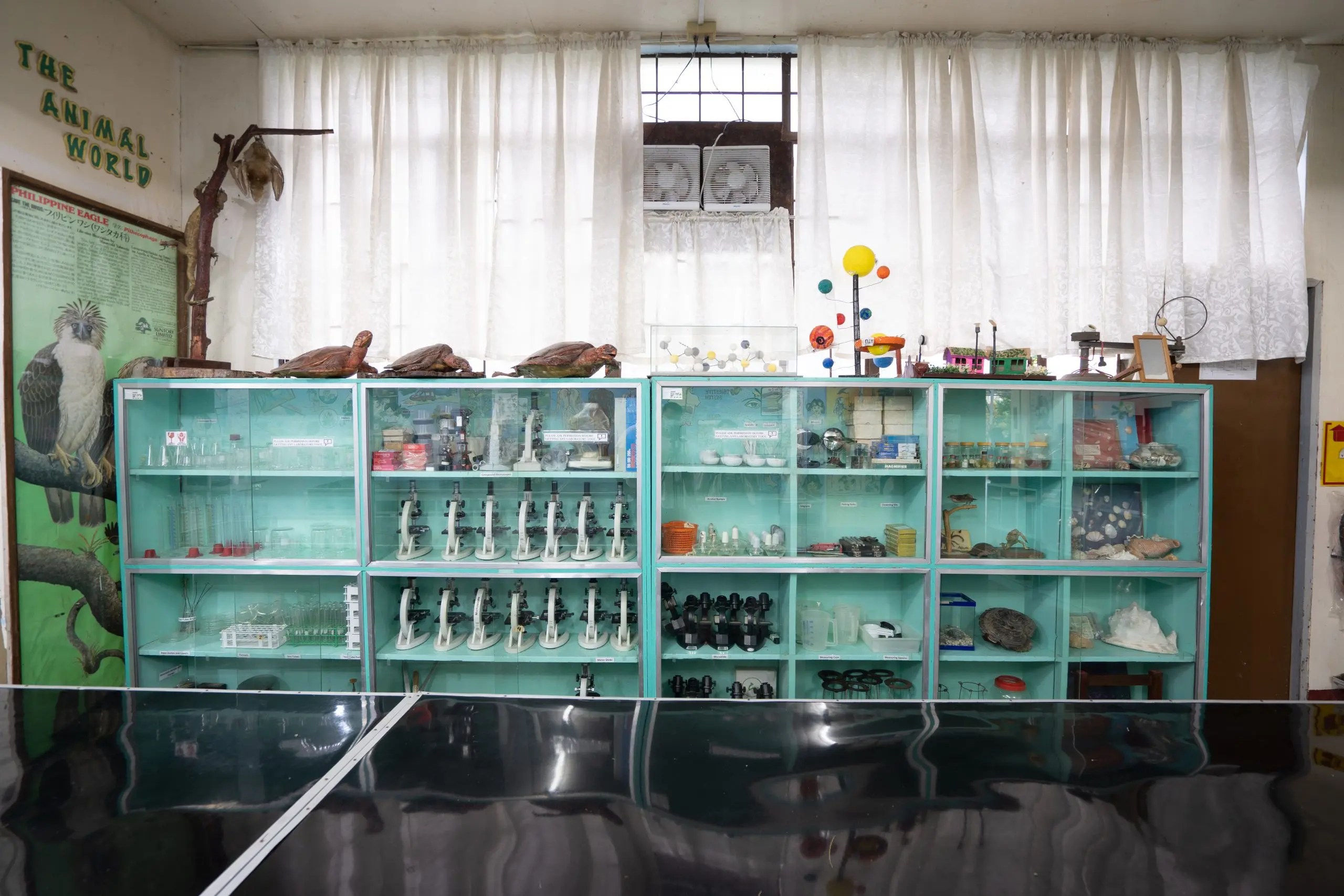 ELEMENTARY SCIENCE LABORATORY CAPCSI