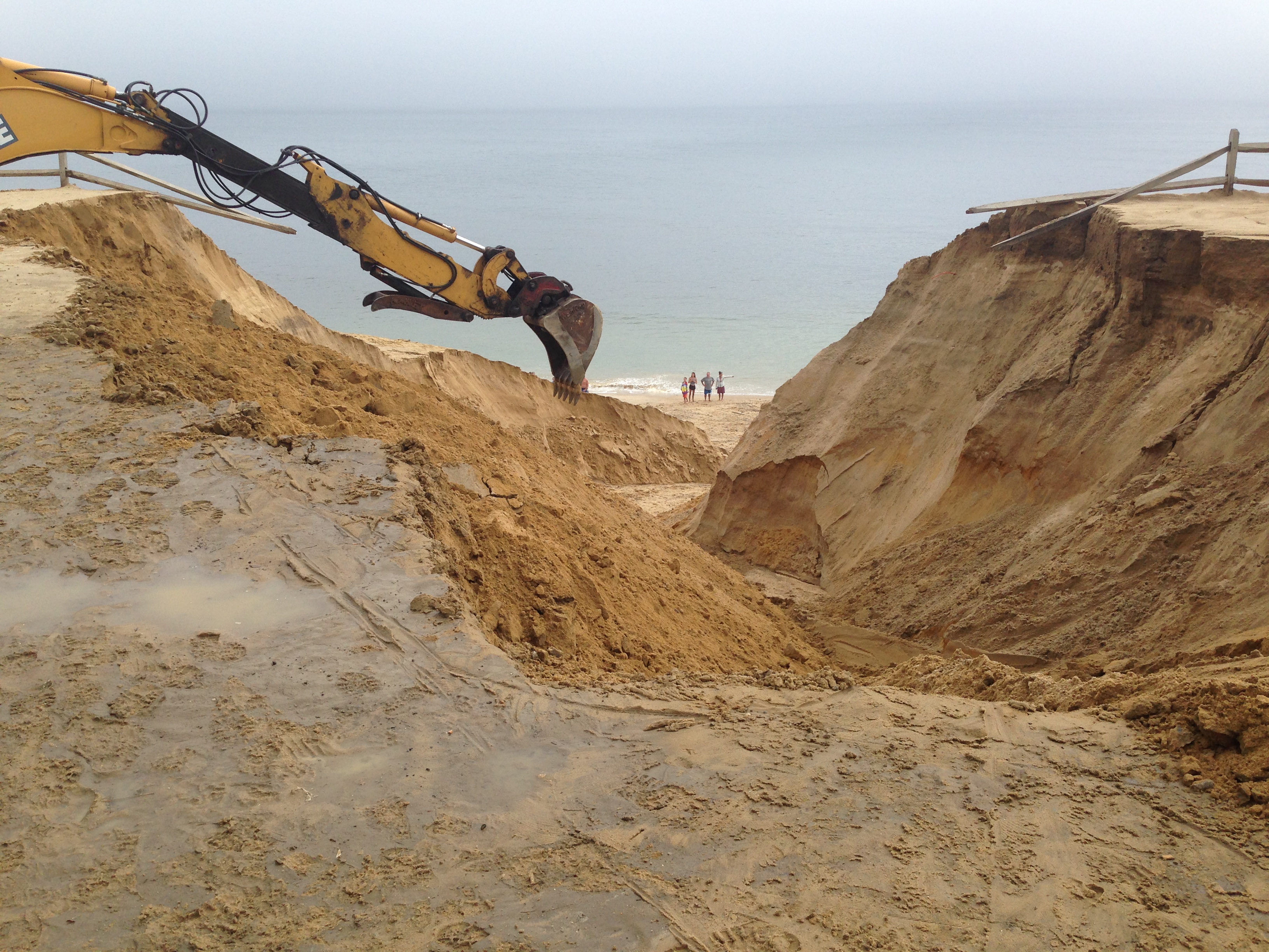 More Photographs from The Parking Lot