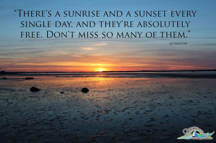 Cape Cod Quotes And Sayings. QuotesGram