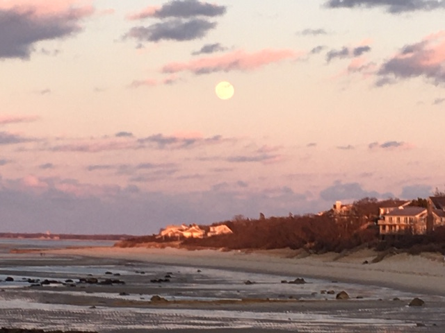 Events In Cpe Cod March 2023 Photo Gallery March on Cape Cod