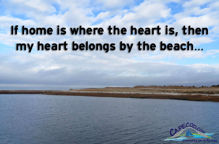 Cape Cod Quotes