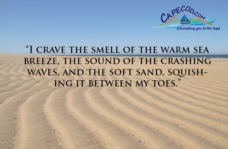 Cape Cod Quotes