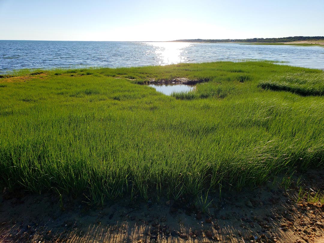 PHOTOS Crowes Pasture Beach, Dennis