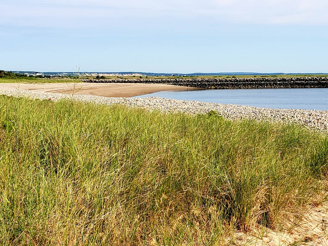 PHOTOS Town Neck Beach, Sandwich