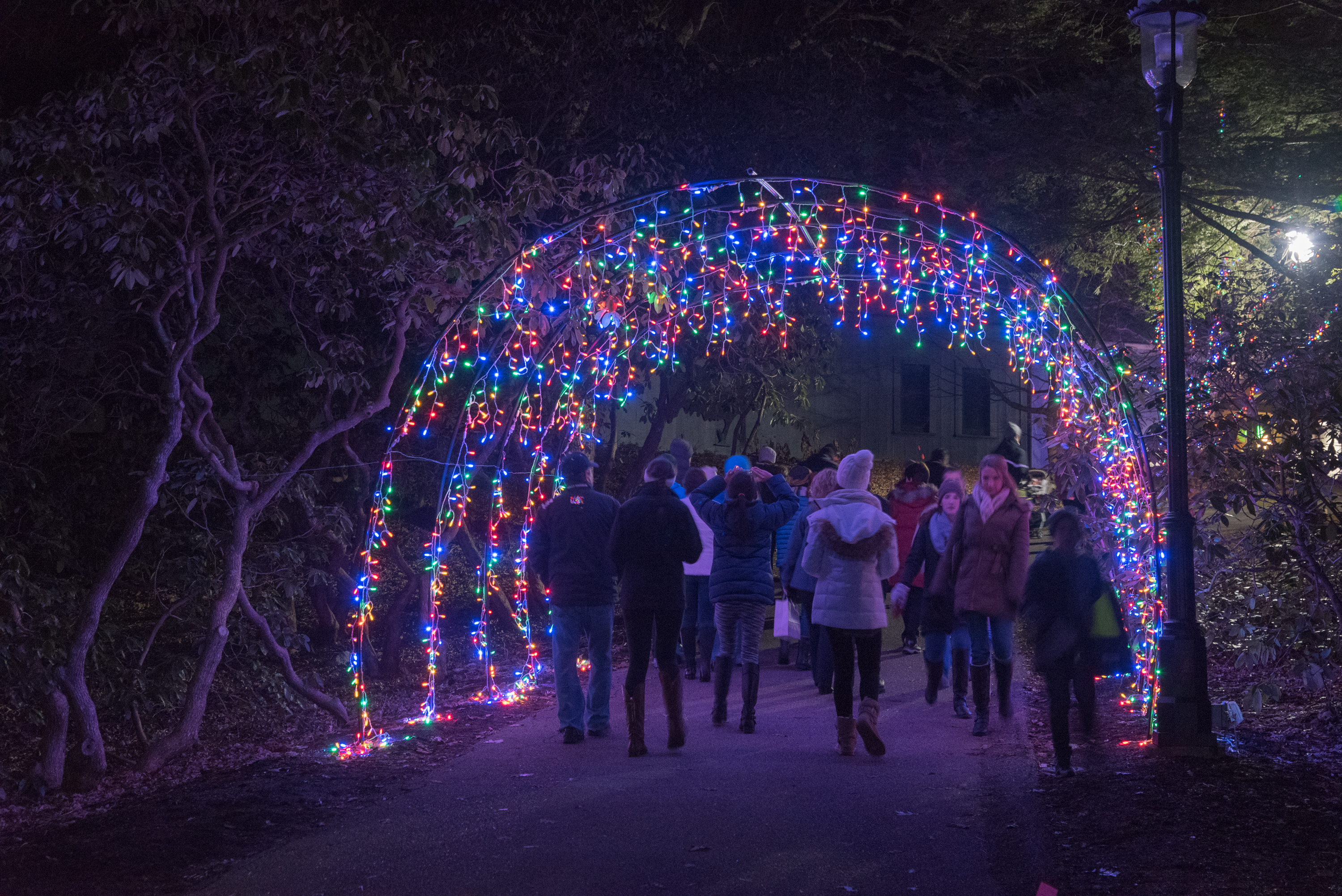 Heritage Museums and Gardens Transforms Into "Gardens Aglow"