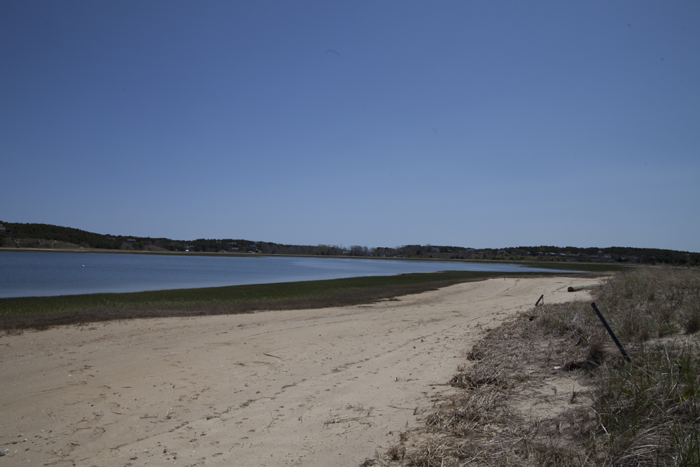 Wellfleet Conservation Trust to Host Annual Indian Neck Walk