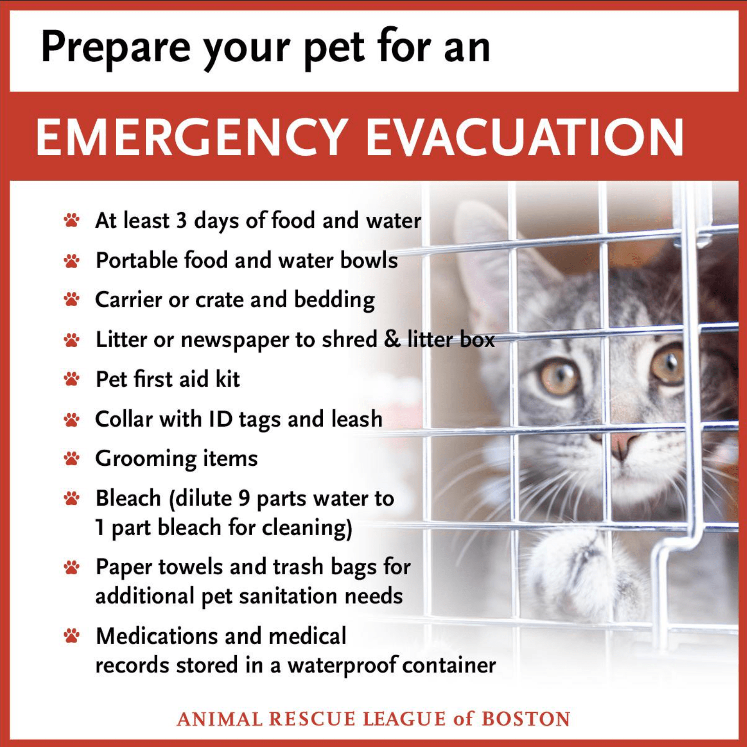 Animal Rescue League Of Boston Map Animal Rescue League Reminds Pet Owners About Emergency Preparations