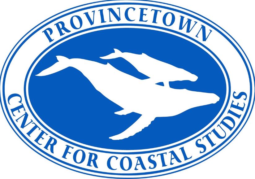 Center for Coastal Studies Disentanglement Team Successfully Frees A