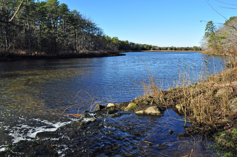 Project to Clean Buzzards Bay Watershed Receives 420K in Grant Funding