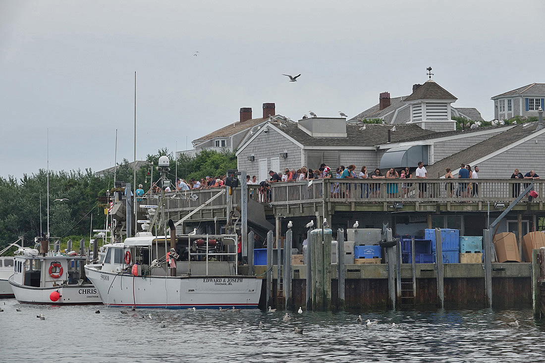 Reconstruction Planned For Chatham Fish Pier Observation Deck
