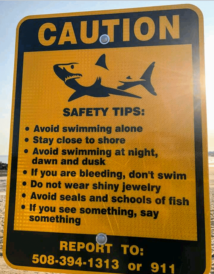 Yarmouth Selectmen Approve Shark Safety Signs at Beaches