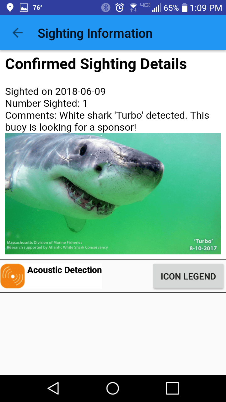 Want To Know Where The Sharks Are? There Is An App For That!