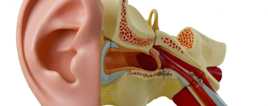 When To See Doctor About Blocked Ear