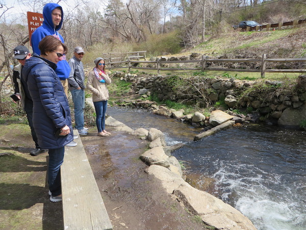 Herring Run Attracts Cape Residents