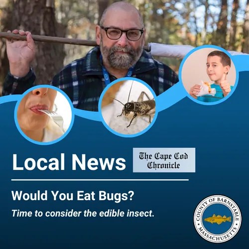 Would you eat bugs? Barnstable County