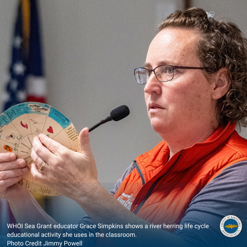 Massachusetts River Herring Network It Counts on Cape Cod