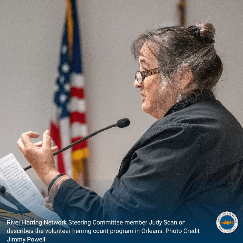 Massachusetts River Herring Network It Counts on Cape Cod