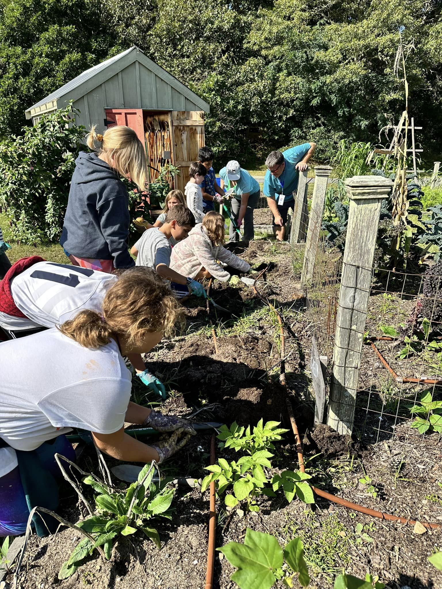 2024 Lower Cape Children's Garden Applications Now Open Barnstable County