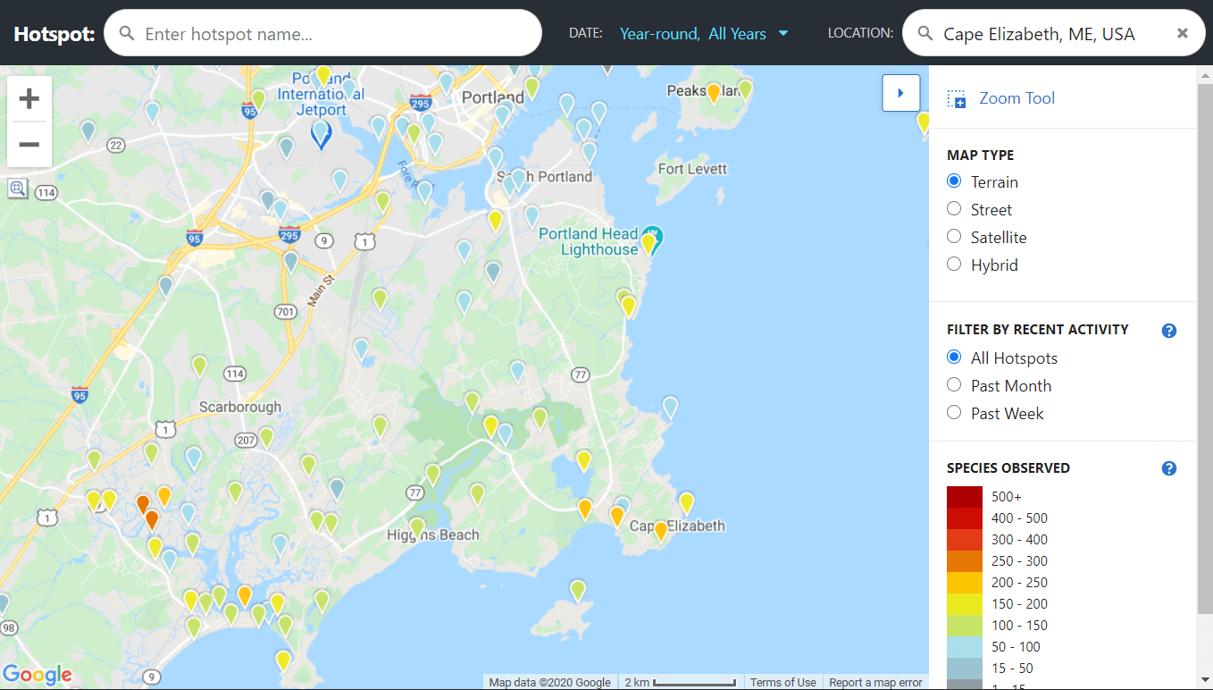 Family Guide to Observing Birds Cape Elizabeth Land Trust